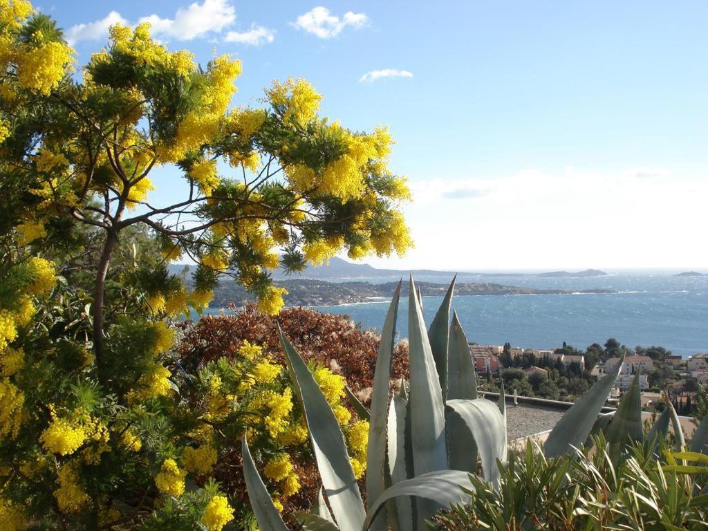 T2 Bandol Ideal Vacances 2 Etoiles المظهر الخارجي الصورة