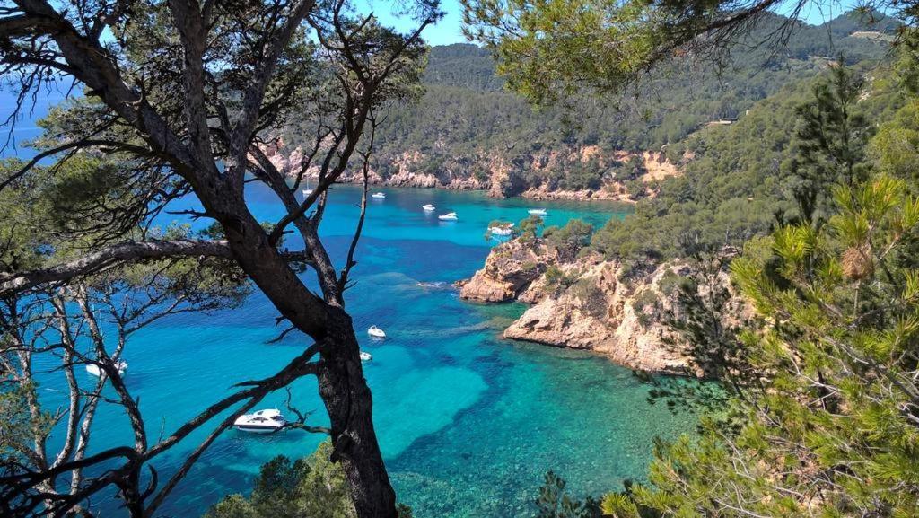 T2 Bandol Ideal Vacances 2 Etoiles المظهر الخارجي الصورة